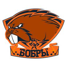 Бобры-ПРО